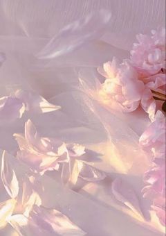 雅　ﾆ　舞　ゥ　　。