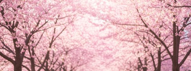 カウエナさんの壁紙画像