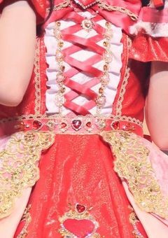 君はアイドル、俺は警察［🚄❤️］