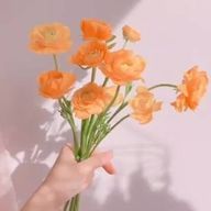 ✧･ﾟ:* 𝔼𝕣𝕚𝕜𝕒 ✧･ﾟ:*さんのアイコン画像