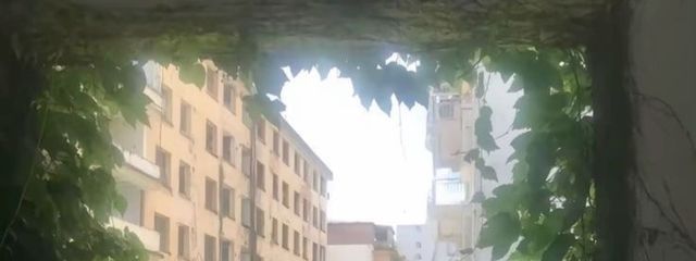 かえでさんの壁紙画像