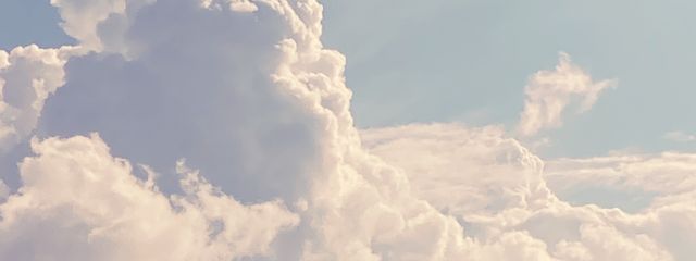 はるさんの壁紙画像