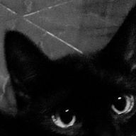 あさんのアイコン画像