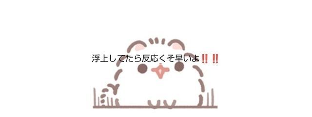 すふさんの壁紙画像