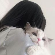 白瀬 .さんのアイコン画像