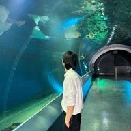              유우 ︎︎.さんのアイコン画像