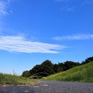 ヒロノブさんのアイコン画像