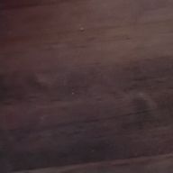 白音 楽?(仮)別名 茅蜩エリ(これも仮)さんのアイコン画像